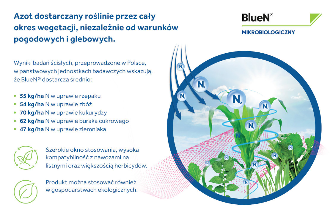 bluen azot dostarczany roślinie przez cały okres wegetacji